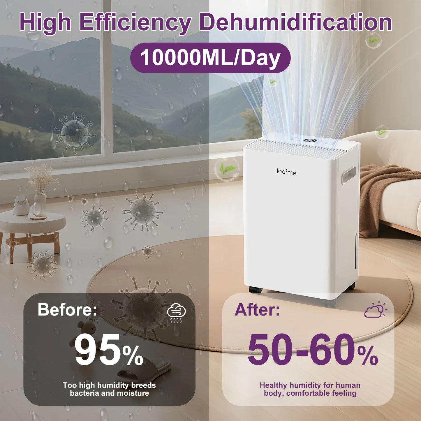 Déshumidificateur 10L — Capteur Humidité & Minuterie 24h